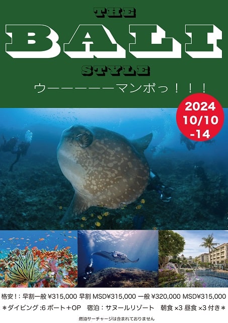 埼玉県,埼玉ダイビング,スキューバダイビング,ダイビングライセンス,Cカード,ダイビングスクール,ダイビング資格,ダイビングショップ,関東埼玉スキューバダイビング,関東埼玉ダイビングライセンス,関東埼玉ダイビングスクール,関東埼玉ダイビングショップ,