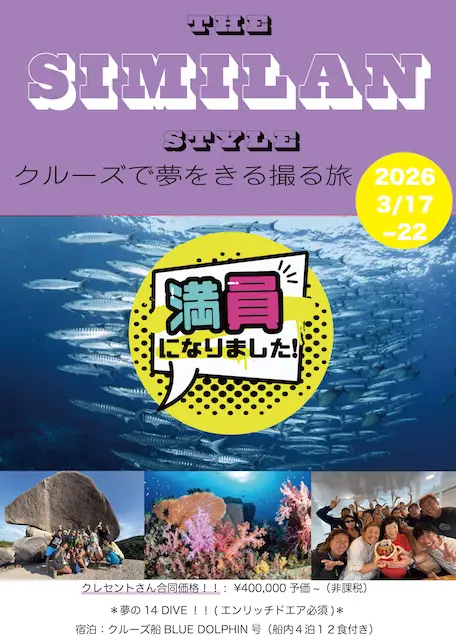 埼玉ダイビング,スキューバダイビング,ダイビングライセンス,Cカード,ダイビングスクール,ダイビング資格,ダイビングショップ,関東埼玉スキューバダイビング,関東埼玉ダイビングライセンス,関東埼玉ダイビングスクール,関東埼玉ダイビングショップ,