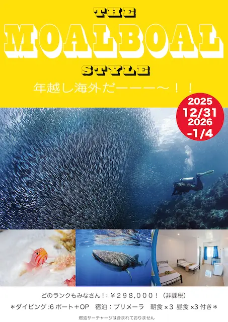 埼玉ダイビング,スキューバダイビング,ダイビングライセンス,Cカード,ダイビングスクール,ダイビング資格,ダイビングショップ,関東埼玉スキューバダイビング,関東埼玉ダイビングライセンス,関東埼玉ダイビングスクール,関東埼玉ダイビングショップ,