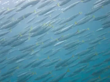 おめでとう～！