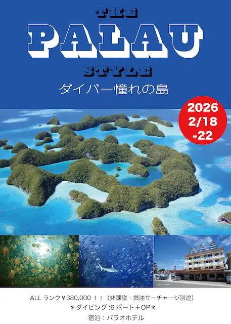 埼玉ダイビング,スキューバダイビング,ダイビングライセンス,Cカード,ダイビングスクール,ダイビング資格,ダイビングショップ,関東埼玉スキューバダイビング,関東埼玉ダイビングライセンス,関東埼玉ダイビングスクール,関東埼玉ダイビングショップ,