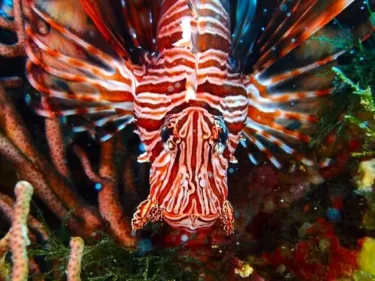 だーれもいない海