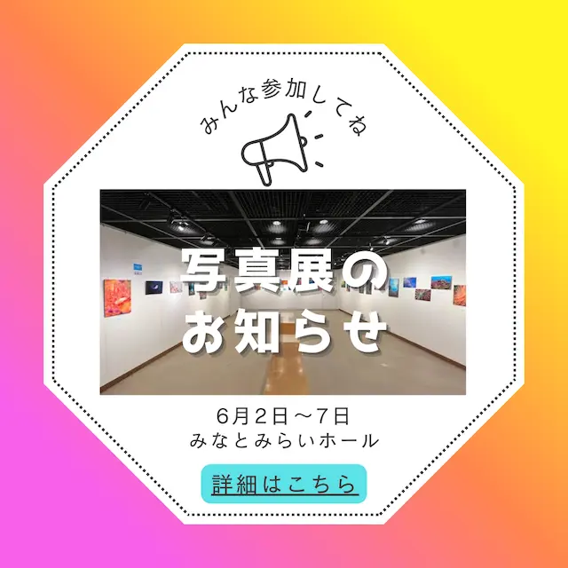 埼玉ダイビング,スキューバダイビング,ダイビングライセンス,Cカード,ダイビングスクール,ダイビング資格,ダイビングショップ,関東埼玉スキューバダイビング,関東埼玉ダイビングライセンス,関東埼玉ダイビングスクール,関東埼玉ダイビングショップ,