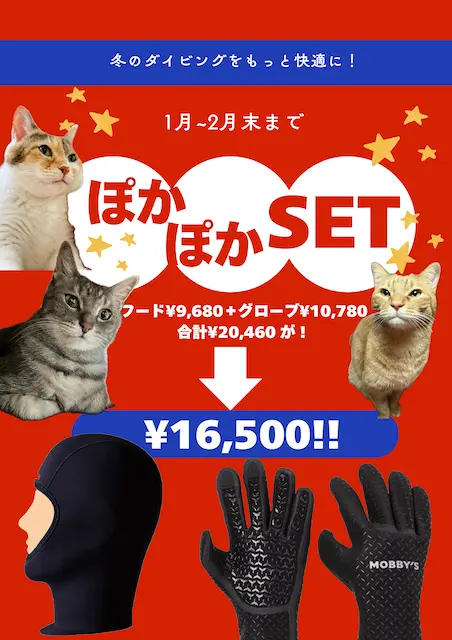 埼玉ダイビング,スキューバダイビング,ダイビングライセンス,Cカード,ダイビングスクール,ダイビング資格,ダイビングショップ,関東埼玉スキューバダイビング,関東埼玉ダイビングライセンス,関東埼玉ダイビングスクール,関東埼玉ダイビングショップ,