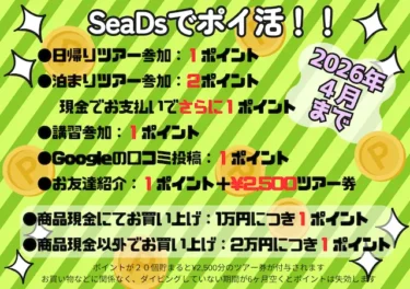 シーズでポイ活！