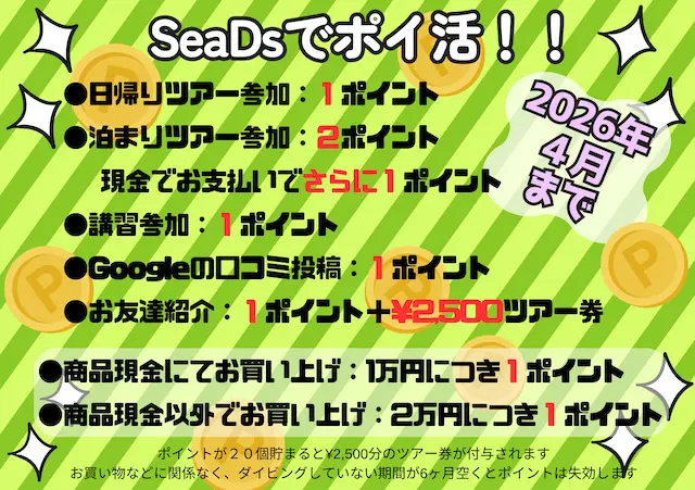 埼玉ダイビング,スキューバダイビング,ダイビングライセンス,Cカード,ダイビングスクール,ダイビング資格,ダイビングショップ,関東埼玉スキューバダイビング,関東埼玉ダイビングライセンス,関東埼玉ダイビングスクール,関東埼玉ダイビングショップ,