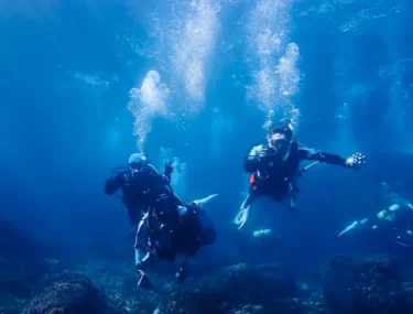 オトコたちの大島ツアー