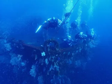 もう春はすぐそこ!