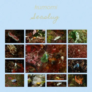 こんな春の日もあるよね・・・