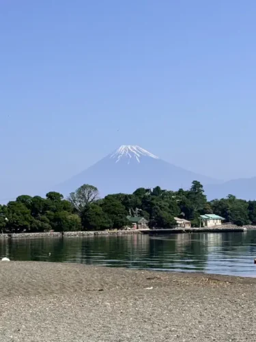 赤潮だしどーなの?どーなのよ!?