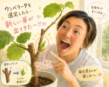 今年初！台風でツアー中止案件・・・