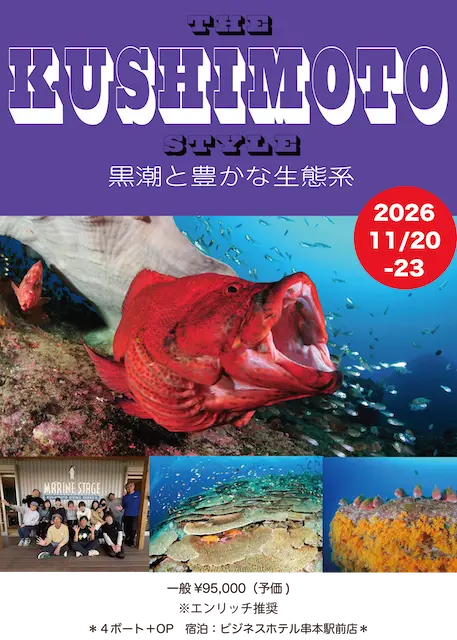 埼玉ダイビング,埼玉スキューバダイビング,埼玉ダイビングライセンス,Cカード,埼玉ダイビングスクール,ダイビング資格,ダイビングショップ,関東埼玉スキューバダイビング,関東埼玉ダイビングライセンス,関東埼玉ダイビングスクール,関東埼玉ダイビングショップ,