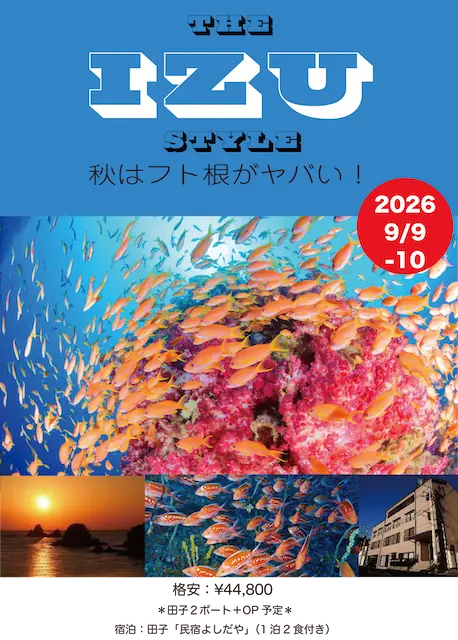 埼玉ダイビング,埼玉スキューバダイビング,埼玉ダイビングライセンス,Cカード,埼玉ダイビングスクール,ダイビング資格,ダイビングショップ,関東埼玉スキューバダイビング,関東埼玉ダイビングライセンス,関東埼玉ダイビングスクール,関東埼玉ダイビングショップ,
