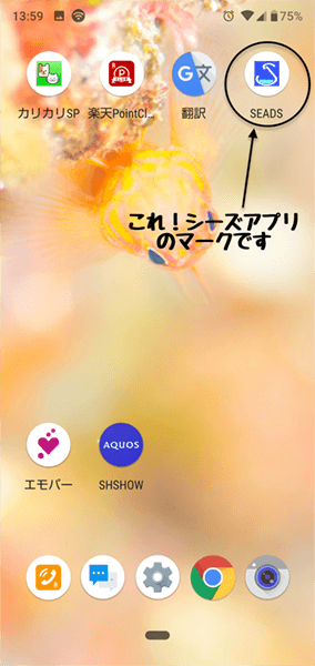 シーズのアプリがなんだかなぁ について 埼玉ダイビングショップ シーズ 春日部店