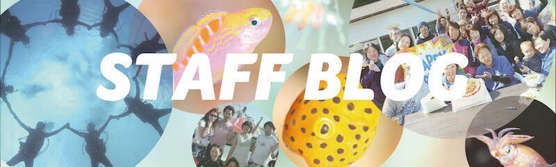 “スタッフブログ,ダイビング埼玉,埼玉ダイビング,スキューバダイビング埼玉,ダイビングライセンス埼玉,Cカード,ダイビングスクール埼玉,ダイビング資格,ダイビングショップ,関東ダイビング,関東スキューバダイビング,関東ダイビングライセンス,関東スキューバダイビングCカード,関東ダイビングスクール,関東ダイビング資格,関東ダイビングショップ,埼玉スキューバダイビング,埼玉ダイビングライセンス,埼玉ダイビングスクール,埼玉ダイビングショップ,"