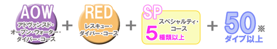 msdチャレンジ