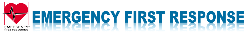EFR(救急救命法)