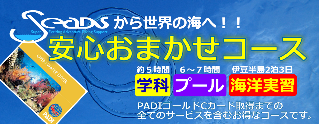 PADI ダイビングライセンス(cカード)取得コース
